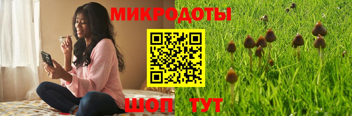 Галлюциногенные грибы ЛСД  Галлюциногенные грибы прущие грибы  Вход с VPN  Свободный 